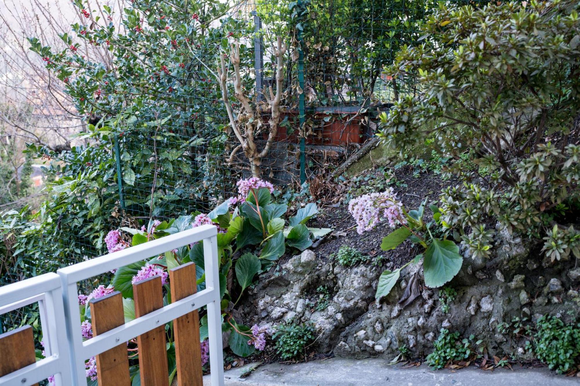 Residence Villa Eli 科莫 外观 照片